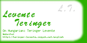 levente teringer business card